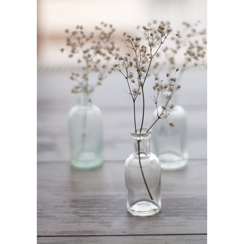 3 tangkai Dried Baby Breath 3040cm Bunga babybreath Kering