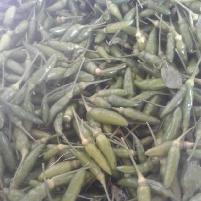 

Rawit hijau besar,