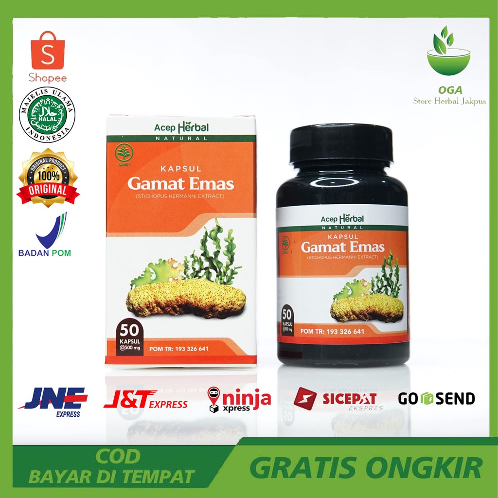 Kapsul Gamat Emas Asli, Kapsul Gamat Emas, Gamat Emas Kapsul, Original, Gamat Emas Kapsul Asli, Obat