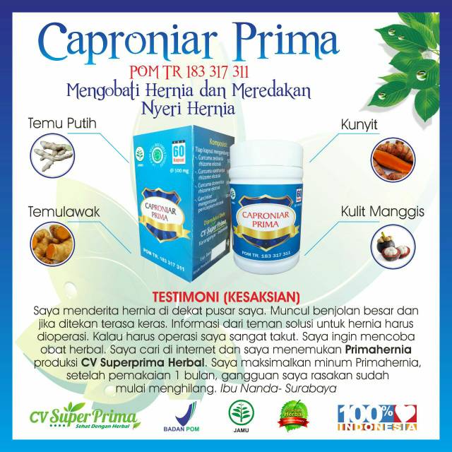 Herbal hernia/POM TR/obat hernia super prima