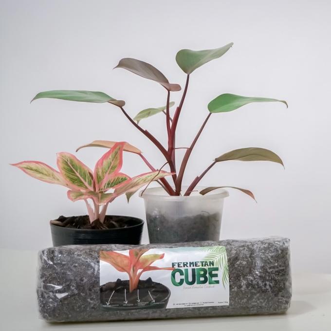 

TERJAMIN FERMETAN CUBE