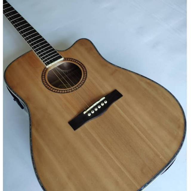 gitar akustik elektrik washburn