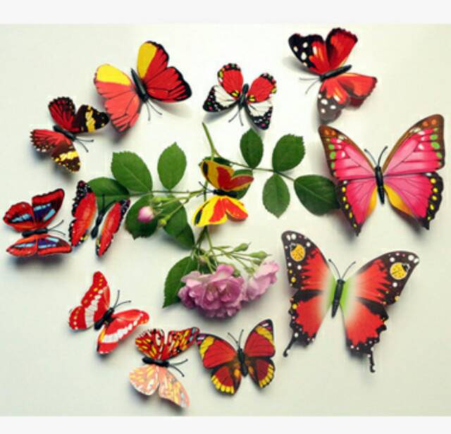 Wallpaper stiker 3D butterfly