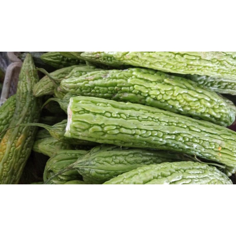 

Sayur Peria / Pare / Paria / Bittergourd segar