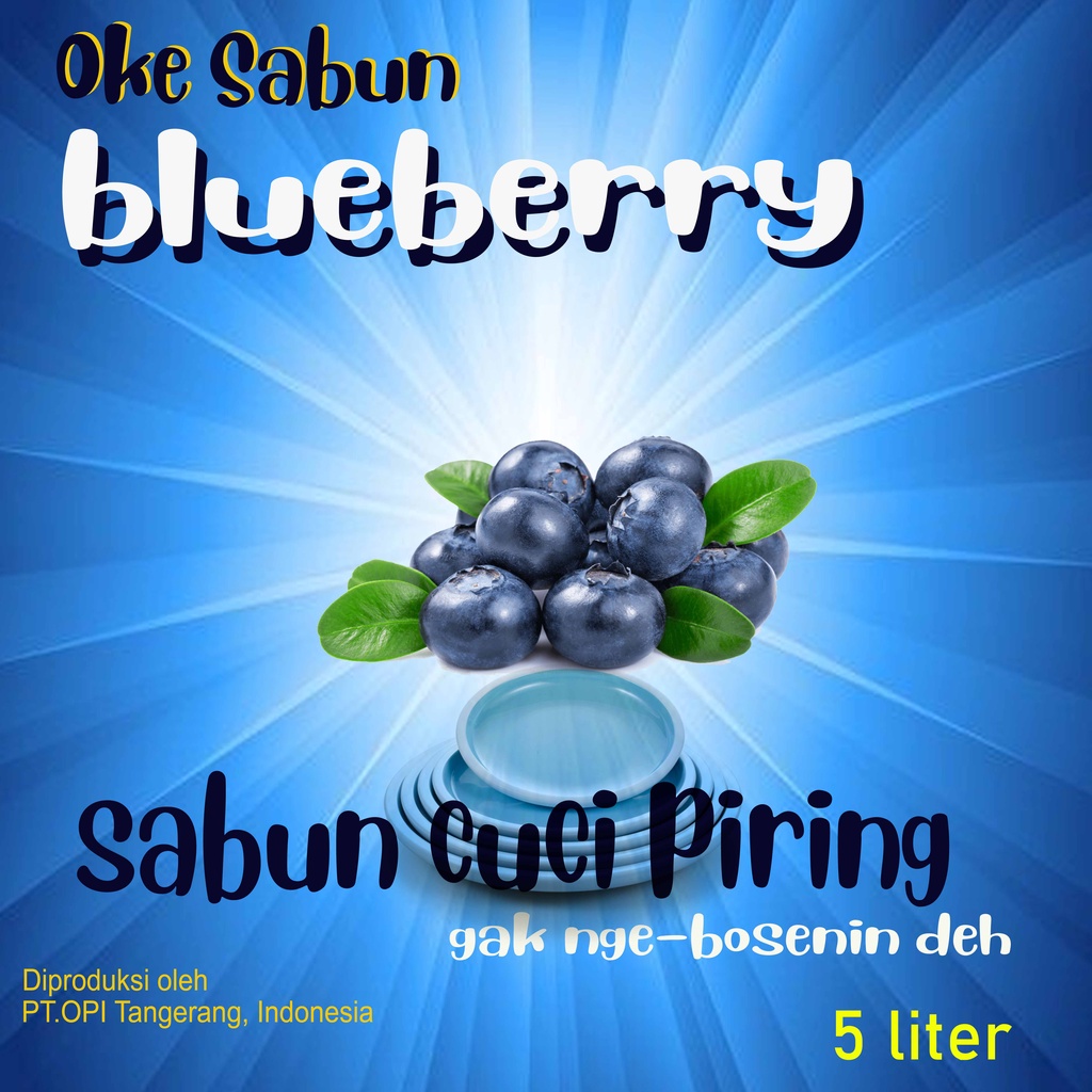 sabun cuci piring 250ml varian wangi blueberry terbaru