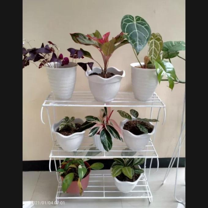 Rak Bunga Besi Susun Rak Pot Bunga 3 Susun Medanbaiak.Store