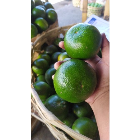 

jeruk lumajang manis/kiloan