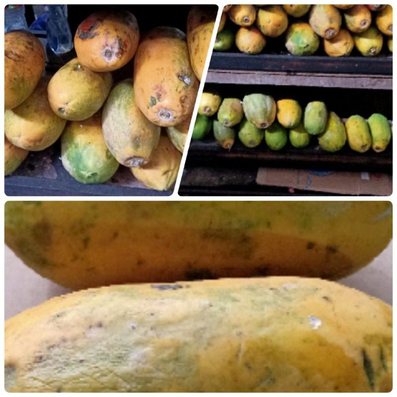 

buah pepaya