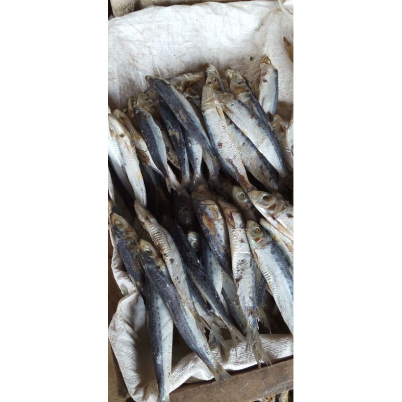 

IKAN ASIN LESI 1KG