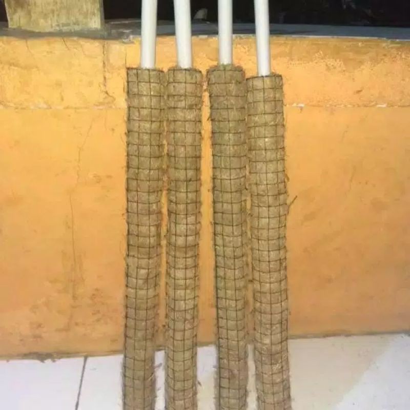 turus tanaman rambat 50cm