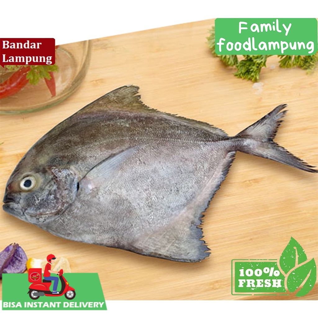 

Family Food Ikan Bawal Laut Fresh Segar 1 kg *Bisa Instant Delivery*