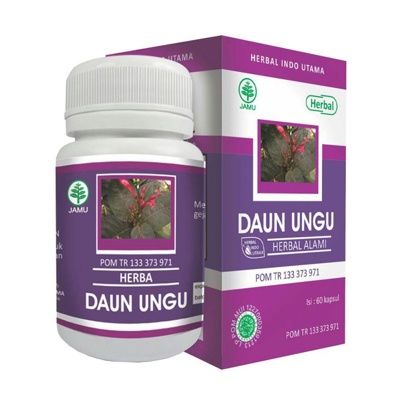Kapsul Daun Ungu Herbal Indo Utama Kapsul Wasir Shopee Indonesia