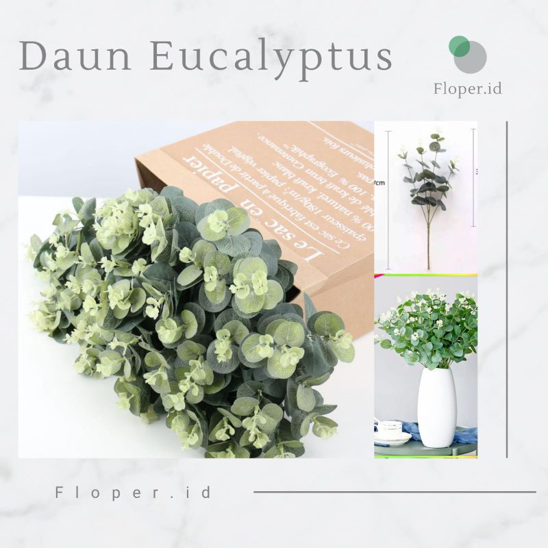 Daun Eucalyptus/ Daun dollar/ Daun Hias/ Daun Buket