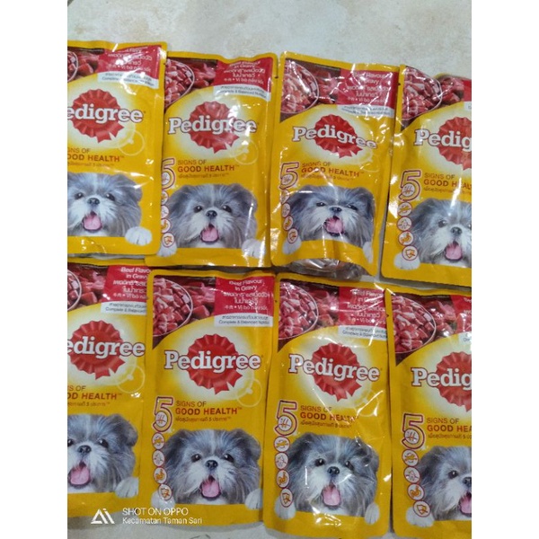 makanan anjing pedigree, makanan cair anjing + bonus makanan padat anjing