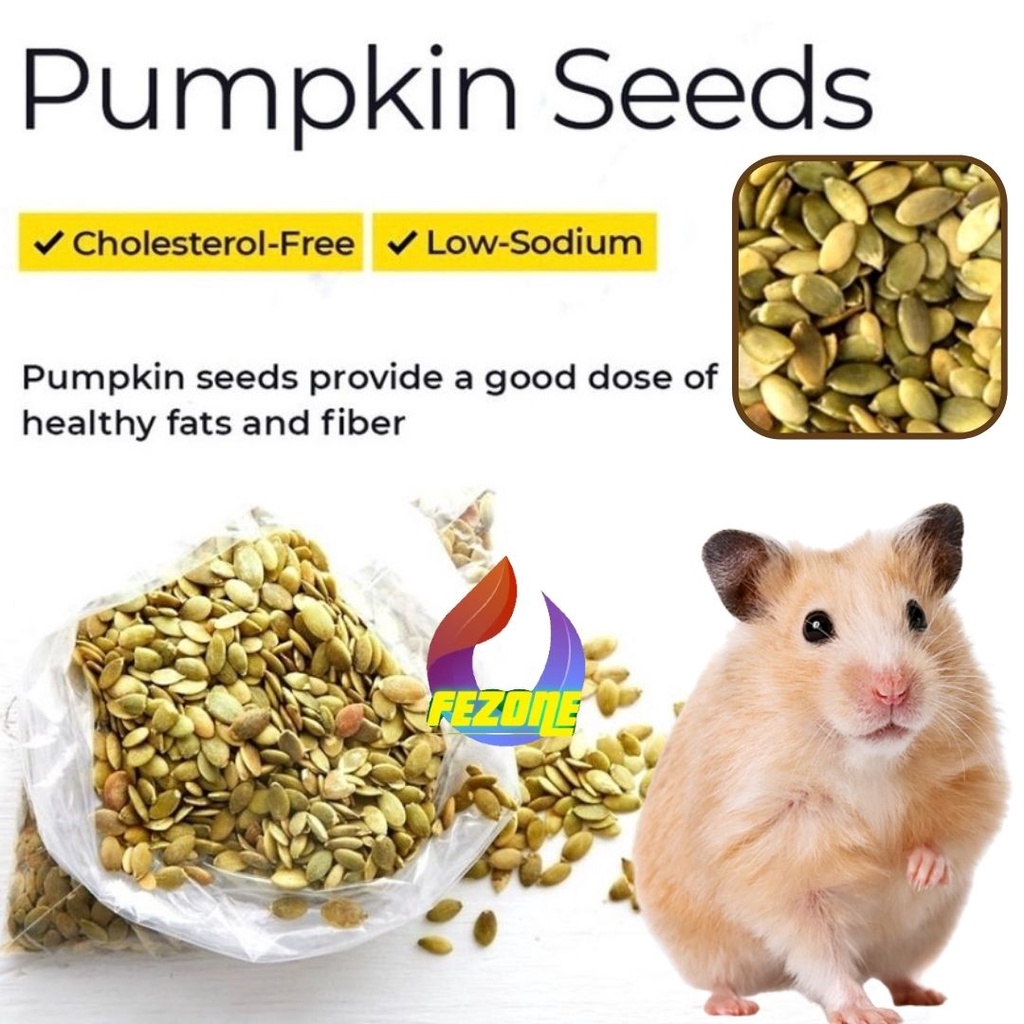 Pumpkin Seed / Biji Labu Kupas 10gram Hamster FEZONE