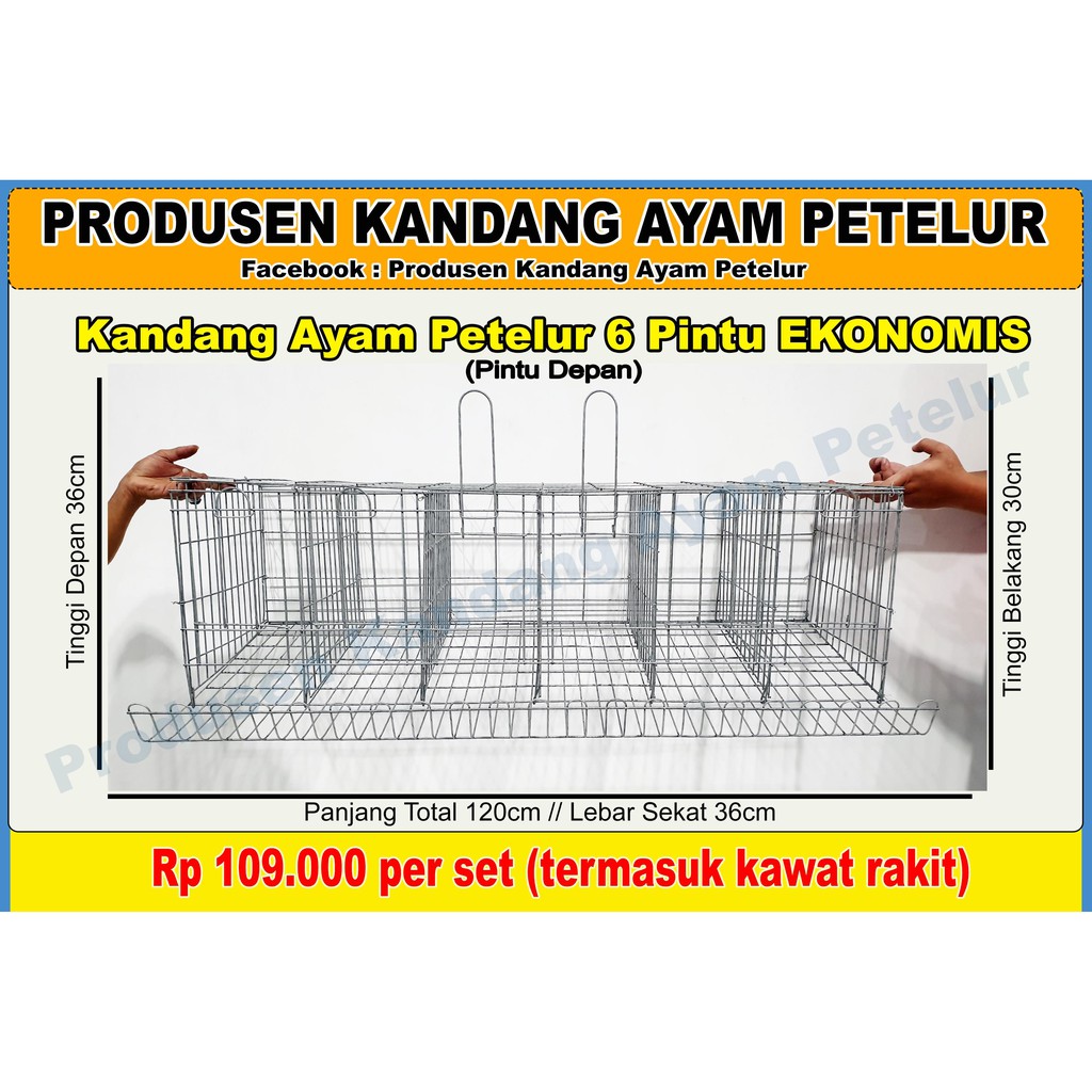 KANDANG AYAM PETELUR GALVANISE 6 PINTU EKONOMIS | Shopee ...