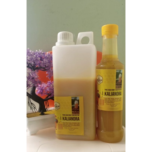 

Madu asli kaliandra