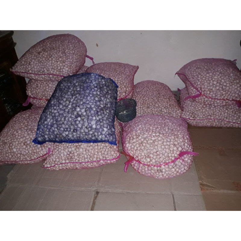 

Bawang tunggal putih grosiran 10 & 20kg