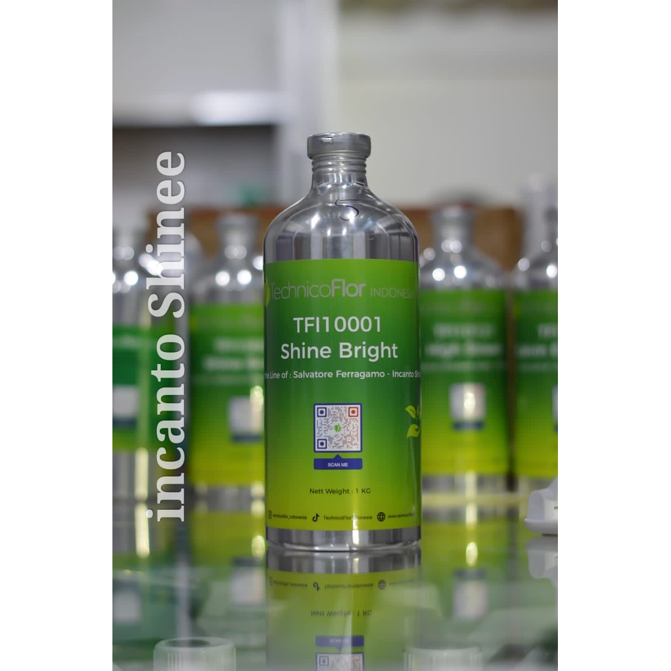 SHINE BRIGHT BY TFI SEGEL 1 KG ( INCHANTO SHINE )