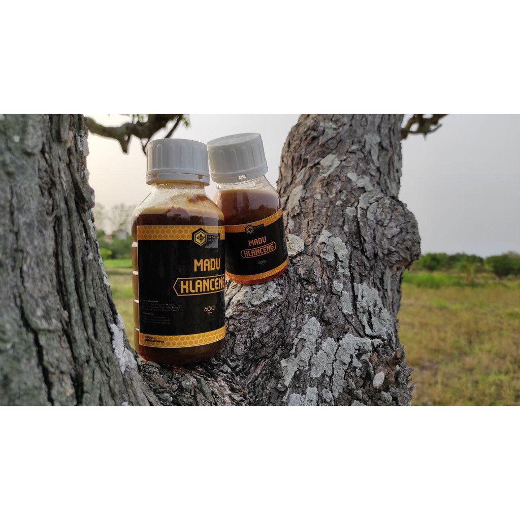 

Madu Klanceng / Kelulut 100% Asli Premium High Quality