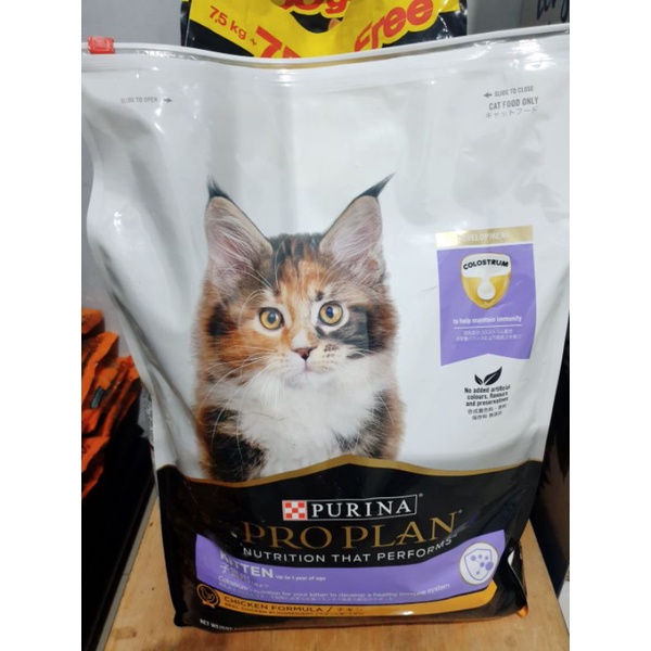 Proplan kitten/makanan kucing