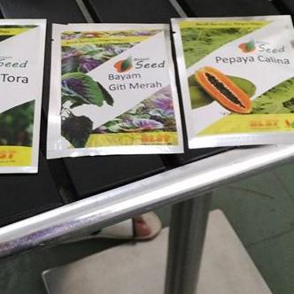 ♘ benih pepaya california asli IPB isi 150 terbaru ☊