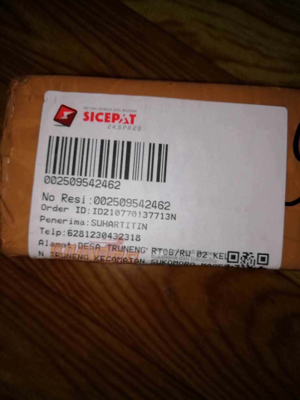 Bonggol Bunga Aglonema Golden Hope