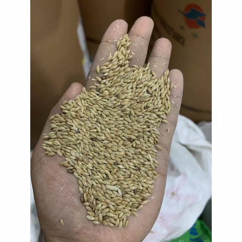 Canary seed vita repack 1kg