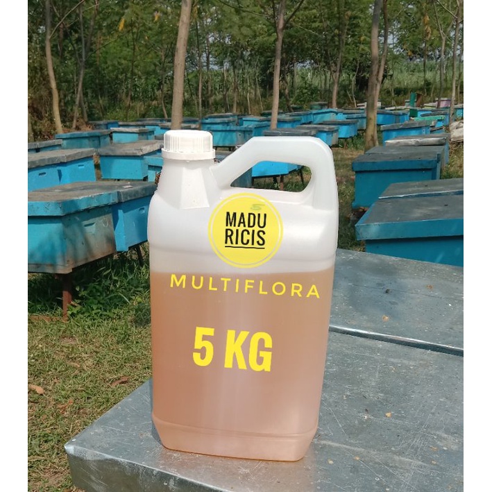 [[ 5 kg ]] Madu murni Madu multiflora madu multi flora Madu kaliandra Madu hitam pahit Madu randu Madu hutan Madu asli raw honey madu lebah melifera madu asli