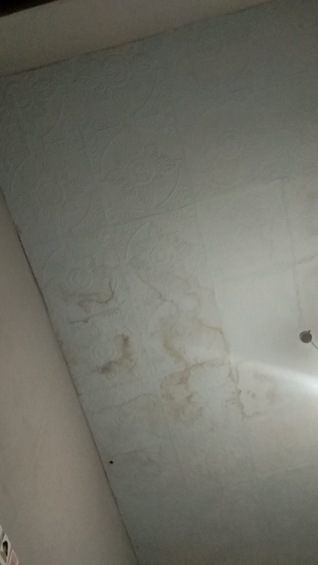 Botella Alat Angkat Galon Air Minum Carrier - Mix Color