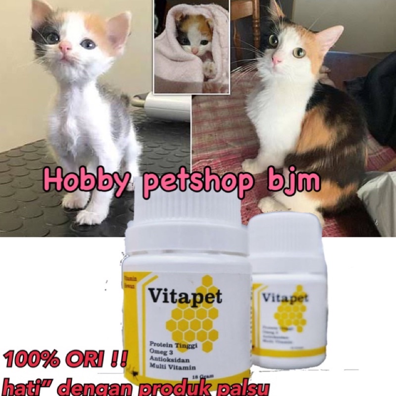 Vitapet ORIGINAL - vitamin pelebat bulu kucing anjing hewan