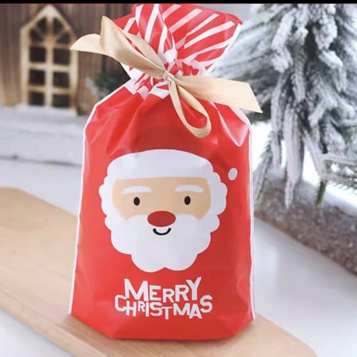 Kantong Permen Natal isi 50 Candy Bag Souvenir Gift Goodie Bag Murah GROSIR