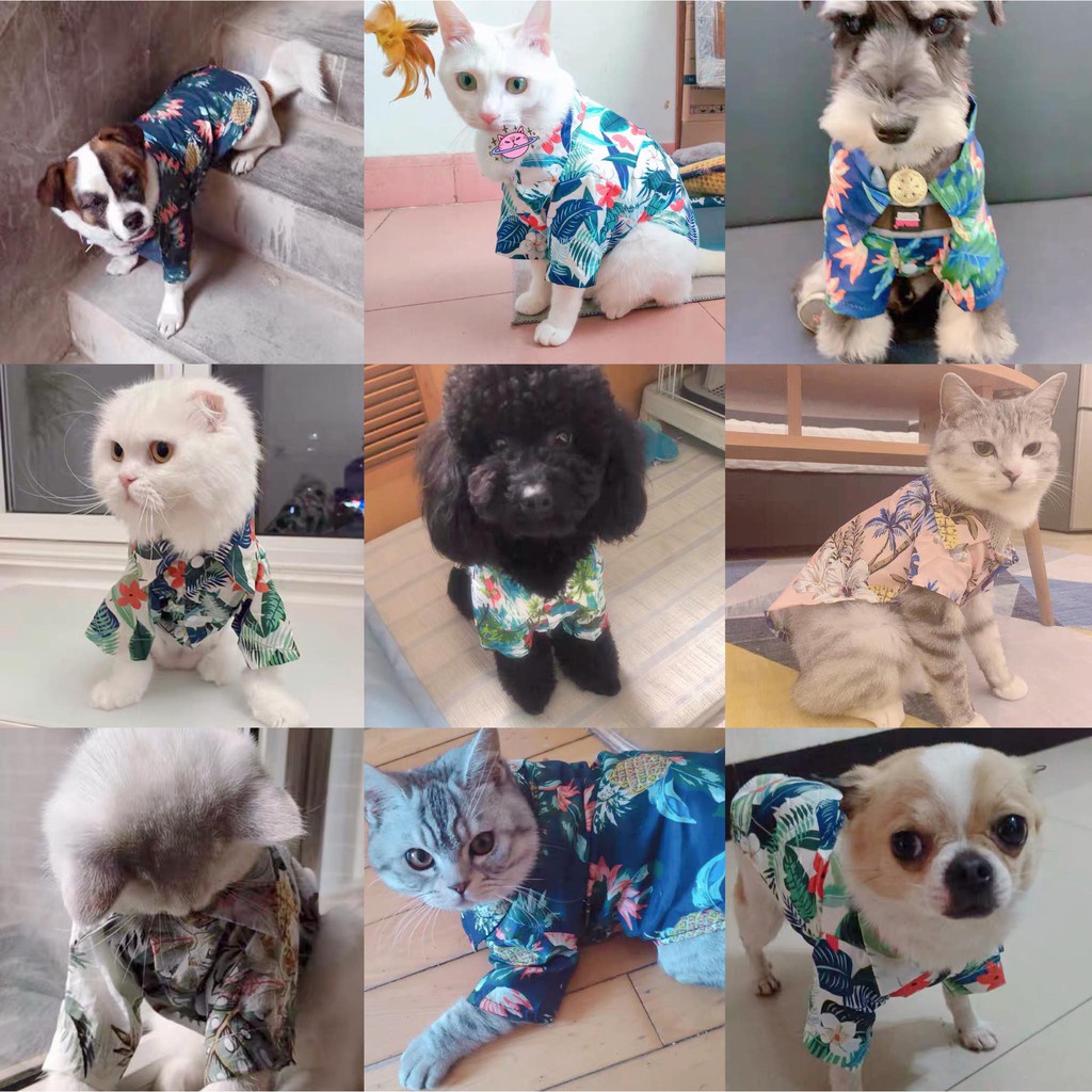 Baju Anjing/Kucing Musim Panas Pohon Kelapa Nanas Cetak Kemeja Pantai Hawaii