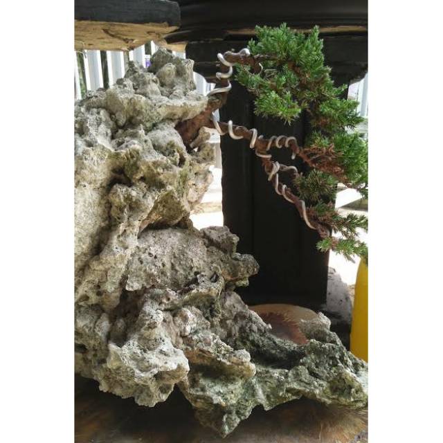 Batu karang hias untuk bonsai mame/aquascape
