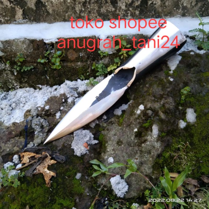 sulak kelapa alat kupas kulit kelapa