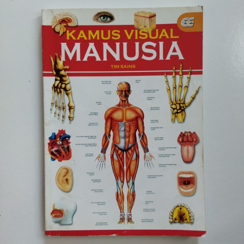 Kamus Visual Manusia