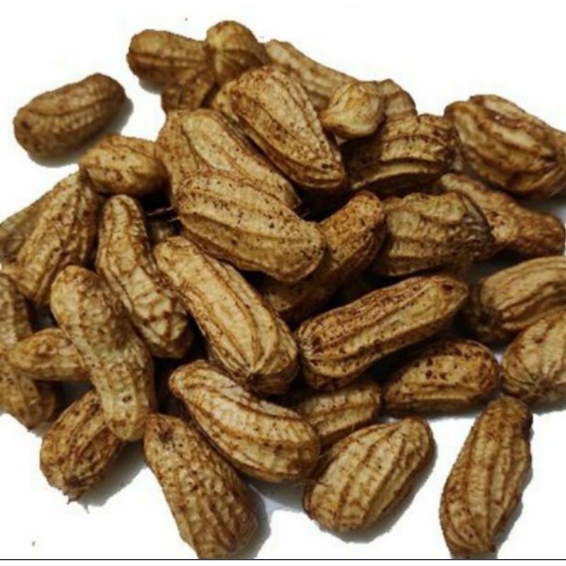 

Kacang tanah segar ukuran besar 1kg