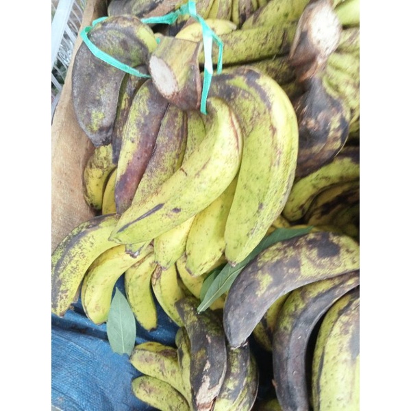 

Pisang Ambon