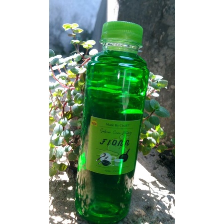 Sabun Cuci Piring FIONN 250 ml