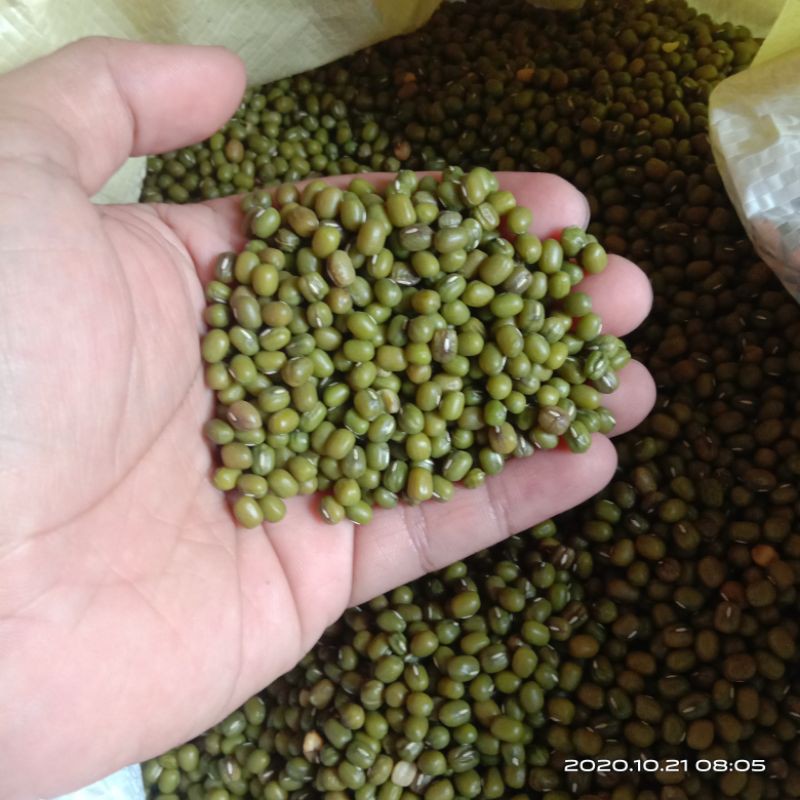 

Kacang Hijau / Premium / 1 kg
