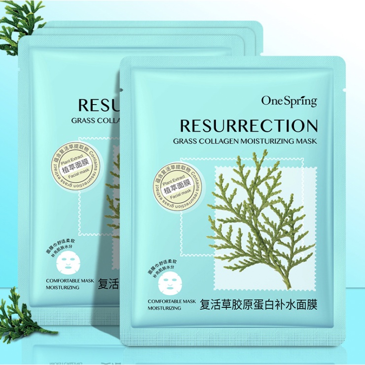 ONE SPRING Plant Extract Sheet Mask Masker Muka Moisturizing EM010