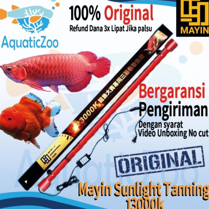 Mayin Tanning 13000K Illuminate Lampu Tanning Mayin Arowana Arwana