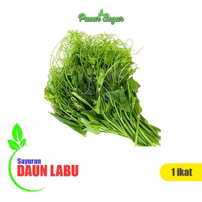 

Daun Labu 1 Ikat