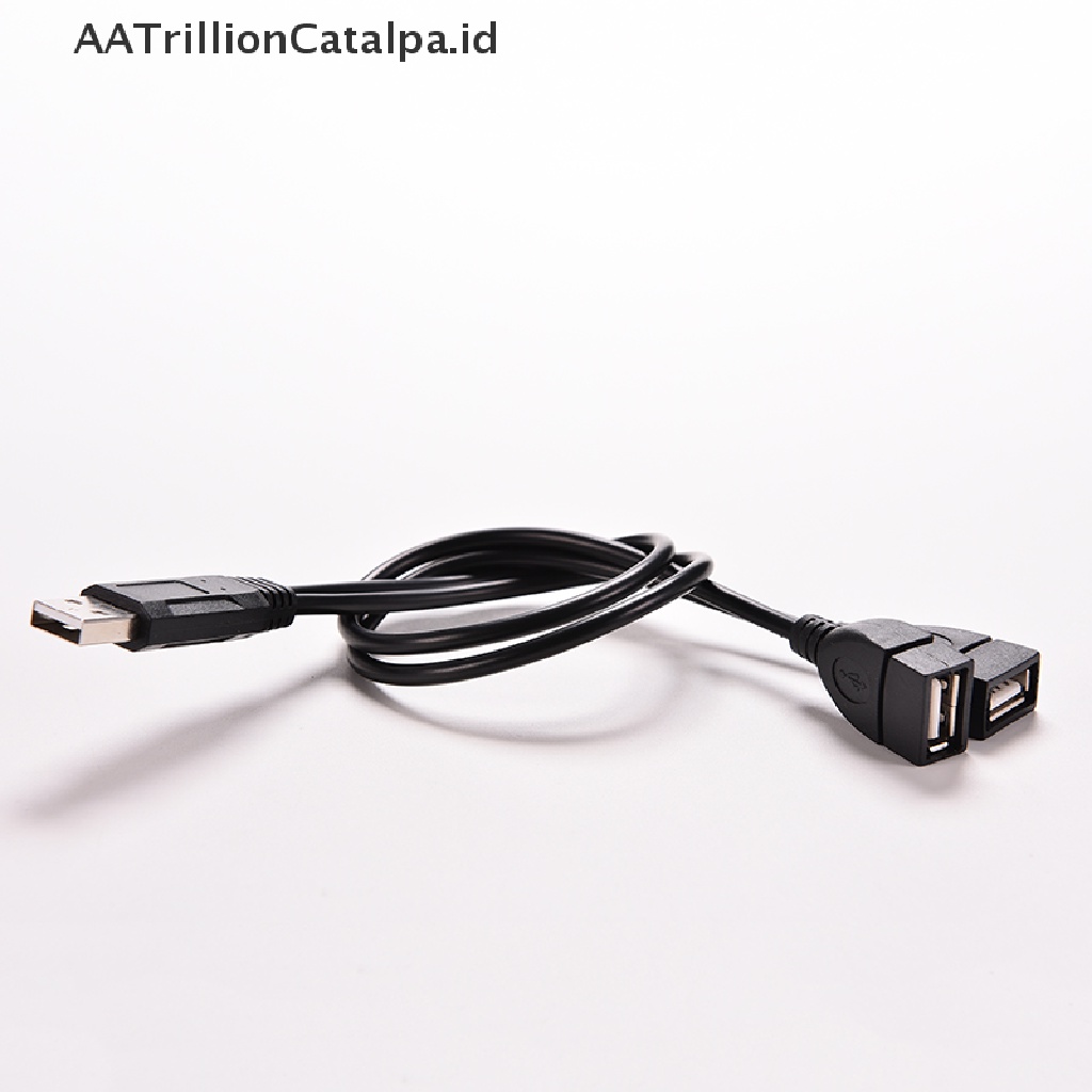 Aatrillioncatalpa Kabel Adapter Splitter Y USB 2.0 A Male Ke 2 Dual USB Female Jack Power