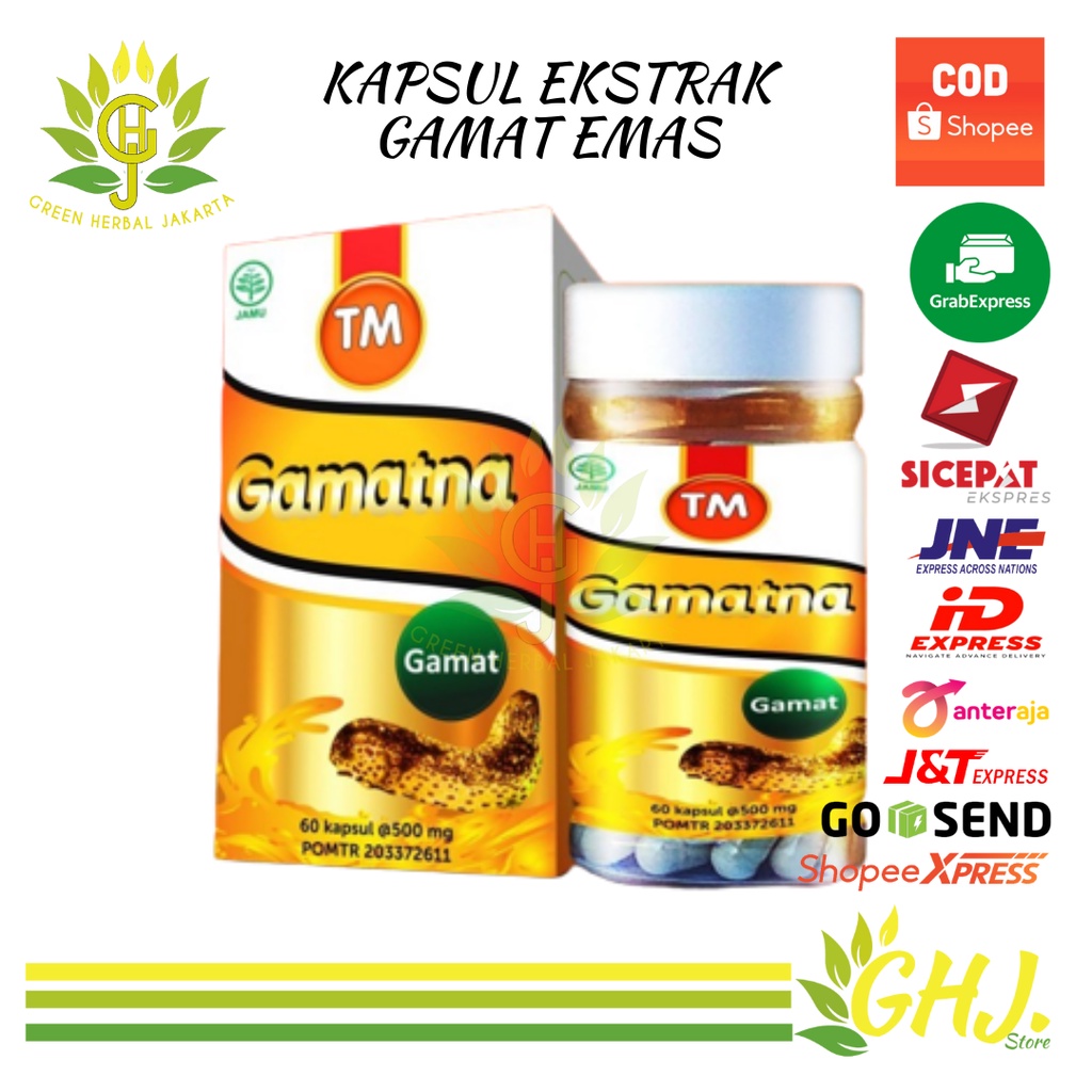 Jual kapsul ekstrak gamat emas 60 kapsul kapsul gamat emas asli