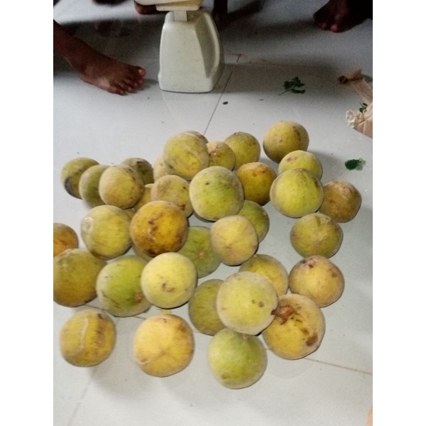 

buah kecapi Bogor segar(1kg)