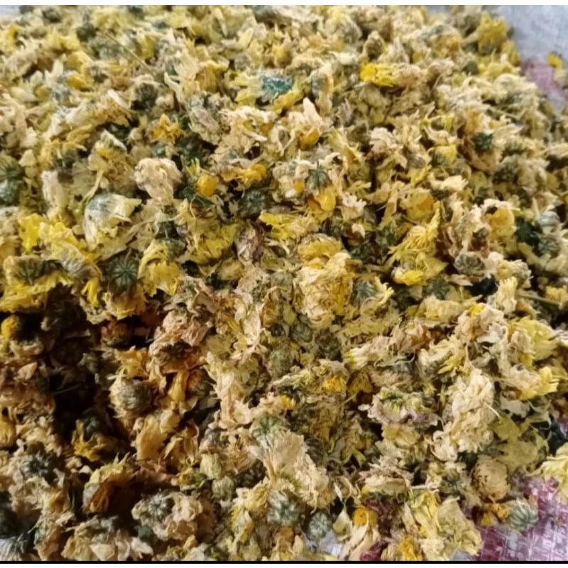 

Bunga Chrysanthemum 50 gram
