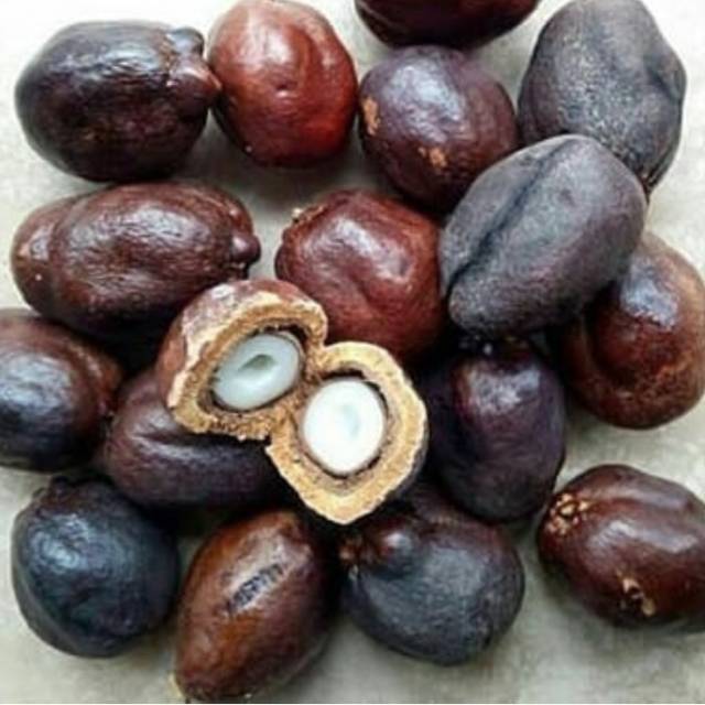 

Zuriat buah kesuburan