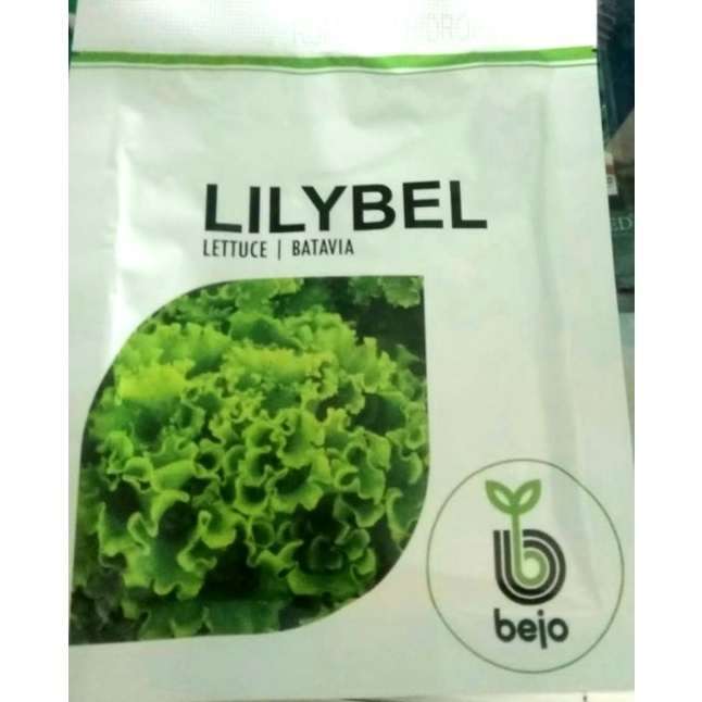 Benih Selada Lilybel Bejo Seed kemasan 1000 pil