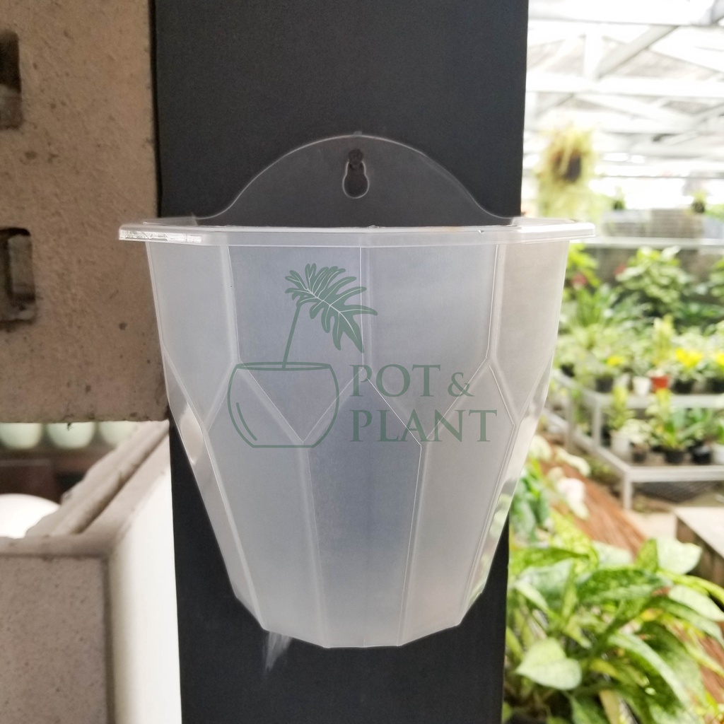 Pot NKT Diamond Cantik Bening Transparan Tempel Dinding